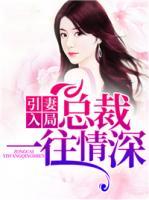 引妻入局：總裁一往情深