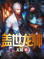 蓋世龍帥