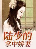 陸少的掌中嬌妻