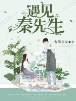 遇見(jiàn)秦先生