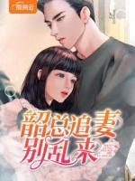 韶總追妻別亂來