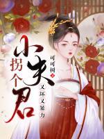 拐個(gè)小夫君：腹黑又暴力