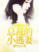 偷心成癮:總裁的小逃妻