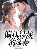 偏執(zhí)總裁的逃妻