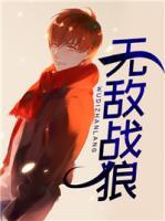 無敵戰(zhàn)狼