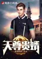 天尊貴婿