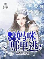 一胎雙寶：媽咪哪里逃