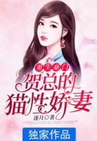 重生豪門：賀總的貓性嬌妻