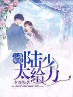 總裁掠愛：陸少，太給力