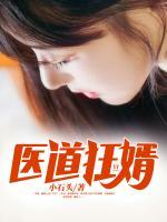 醫(yī)道狂婿