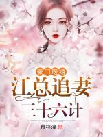 豪門暖婚：江總追妻三十六計(jì)