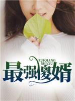 最強(qiáng)傻婿
