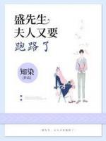 盛先生，夫人又要跑路了