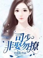司少，非娶勿撩