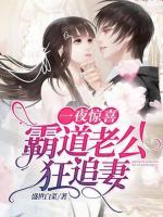 一夜驚喜：霸道老公狂追妻