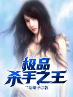 極品殺手之王
