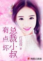 總裁小叔有點(diǎn)壞