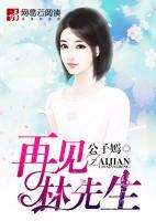 再見(jiàn)林先生