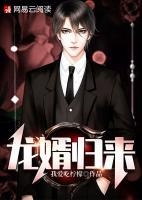龍婿歸來