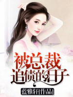 被總裁追債的日子