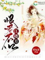 恨君不似江樓月