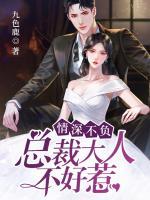 情深不負(fù)：總裁大人不好惹