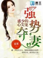 強(qiáng)勢奪妻：盛少的心尖寵