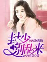 染指成婚：封少別亂來