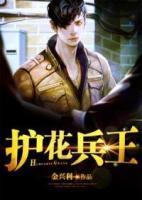 護花兵王