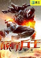 巔峰兵王