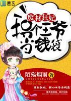 廢材狂妃，拐個(gè)王爺當(dāng)錢袋