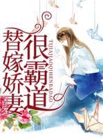 替嫁嬌妻很霸道