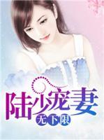 陸少寵妻無(wú)下限