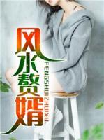風(fēng)水贅婿