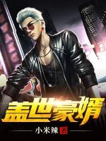 蓋世豪婿