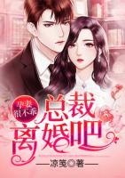 孕妻很不乖：總裁，離婚吧！