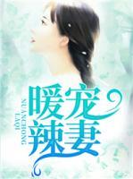 暖寵辣妻