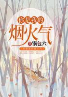 你是我的煙火氣
