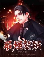 最強(qiáng)贅婿