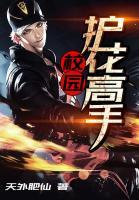 校園護花高手
