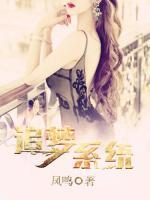 追夢系統(tǒng)