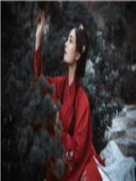 不曾憶韶華