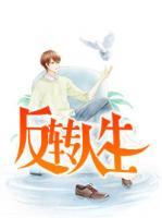 反轉(zhuǎn)人生