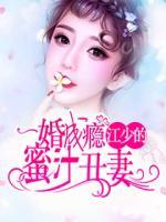 一婚成癮：江少的蜜汁丑妻