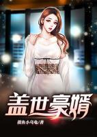 蓋世豪婿
