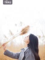 樓少的惹火小辣妻