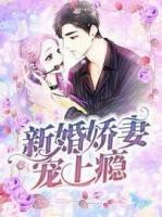 嬌妻寵上癮