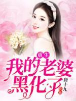 重生！我的老婆黑化了！