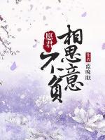 愿君不負相思意