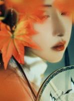 帝心獨(dú)系農(nóng)門俏廚娘